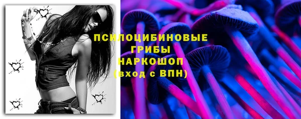 эйфоретик Шимановск