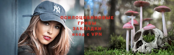 гидропоника Шилка