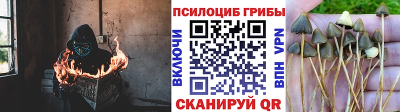 Галлюциногенные грибы GOLDEN TEACHER  закладки  OMG ссылки  Кызыл 