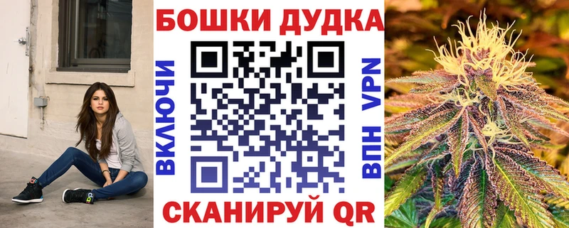 закладки  Кызыл  Канабис сатива 